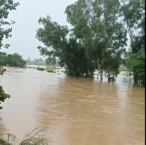 Punjab Battles Unprecedented Floods as Chenab, Ravi and Sutlej Rivers Overflow 1 Punjab Floods Chenab Ravi Sutlej