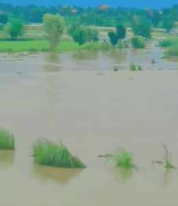 Punjab Battles Unprecedented Floods as Chenab, Ravi and Sutlej Rivers Overflow 7 Screenshot 2025 08 28 075020