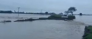 Punjab Battles Unprecedented Floods as Chenab, Ravi and Sutlej Rivers Overflow 14 Screenshot 2025 08 28 082154 1