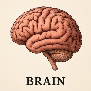 d01643ba bdd5 4bdb b125 524ec6902482