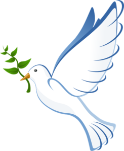 Judge Frank Caprio – America’s Nicest Judge Who Inspired the World with Kindness 16 dove 41260 640 1