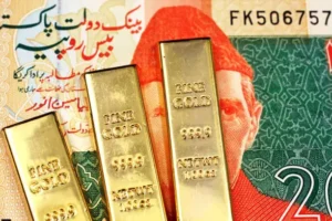 istockphoto 1138926422 612x612 1