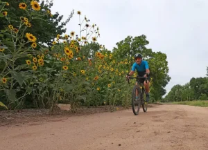 Google Gemini AI Photo Editing Prompts for Couples: Try These 7 Romantic Ideas 17 istockphoto 2234384290 612x612 1